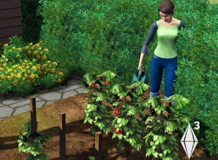 gardening sims 3