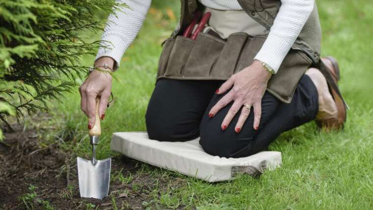 best knee pads for gardening