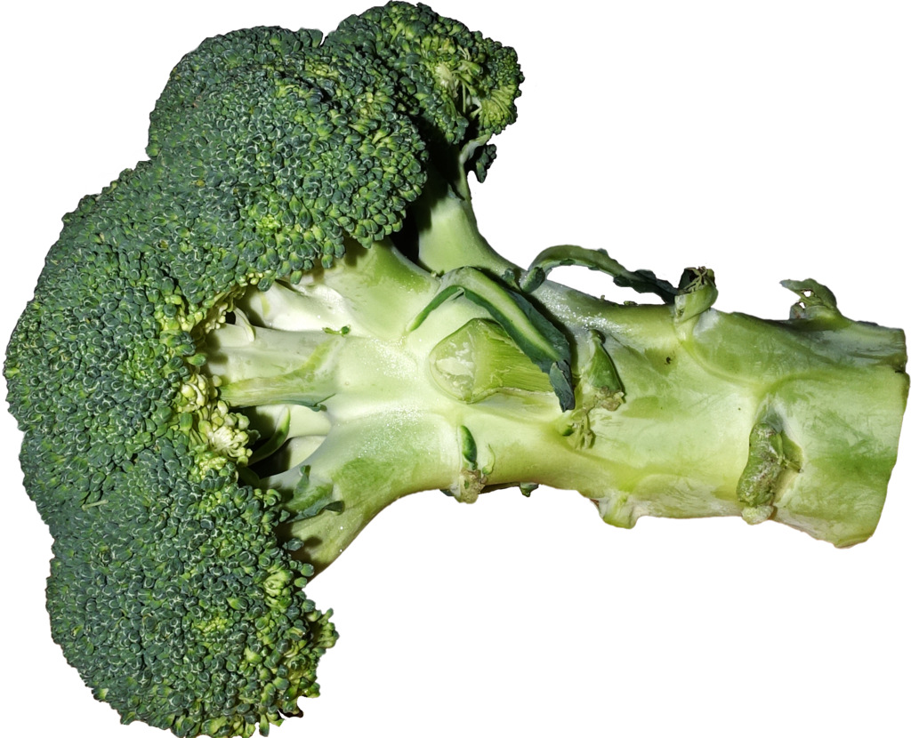 growing stages of broccoli