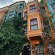 Vertical Gardens and Fruit Trees